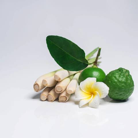 Stix And Wix Candle Persian Lime And Lemongrass 300ML
