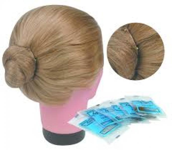 Lady Fayre Bun Net Assorted Colors Lady Fayre