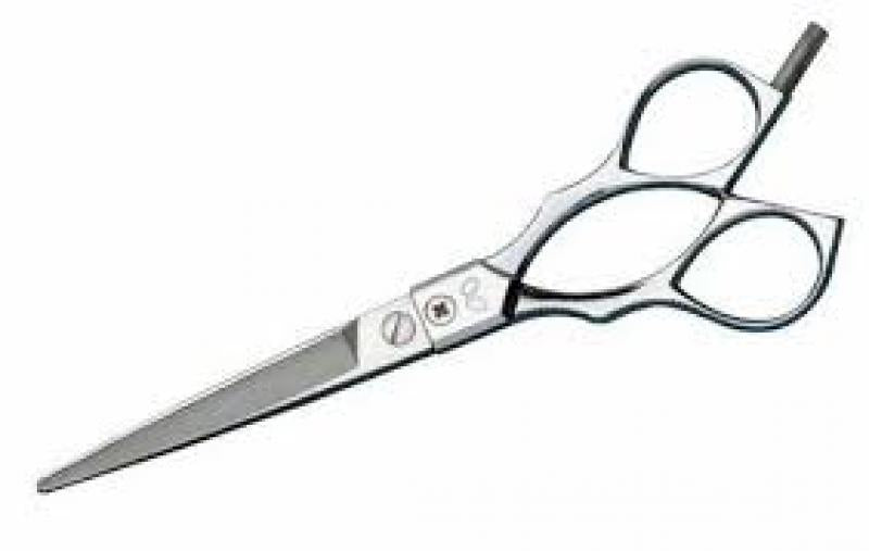 Protech Professional Hair Cutting Scissors 6 Inch Stainless Steel Blades Finishing Touch Body Hair And Beauty Supplies