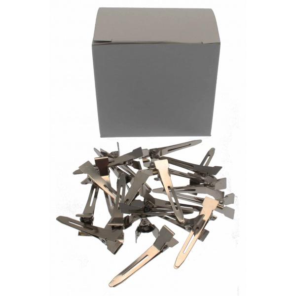 Santorini Pin Curl Clips Single Prong Stainless Steel In Clear Box Of 100