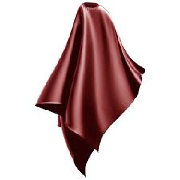 Wahl Hair Cutting Cape Burgundy Microfibre Wahl