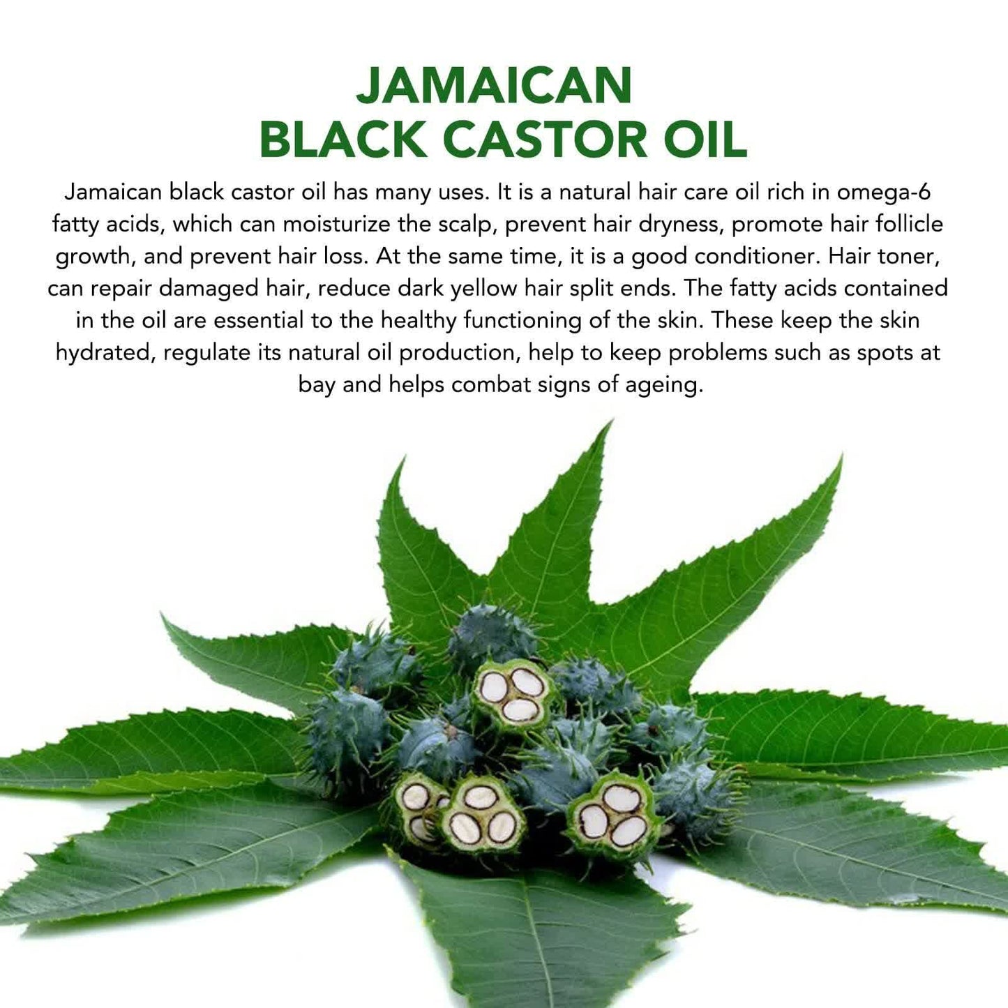 Black Castor Oil (2.02 fl oz), Jamaican Organic Regrowth Treatments Finishing Touch Body Hair And Beauty Supplies