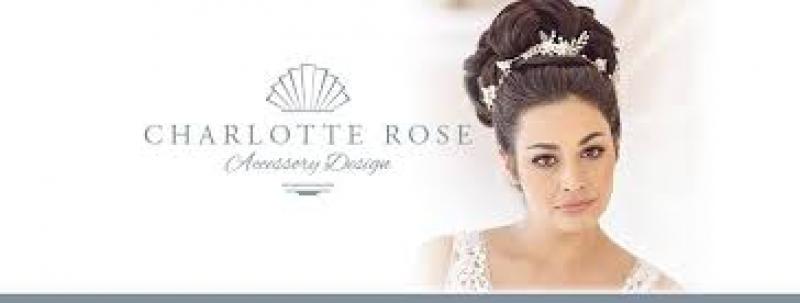 Hair Pins Assorted Packs And Colors - Finishing Touch Body Hair And Beauty Supplies