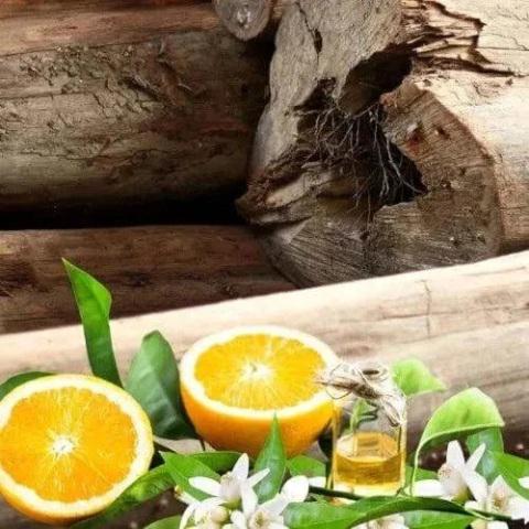 Stix And Wix Candle Teak And Neroli 300ML