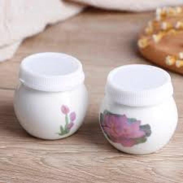 Dappin Dish Ceramic White With Hand Painted Design And Plastic Lid Indiana Nails