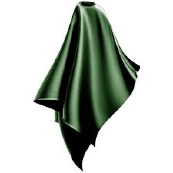 Wahl Hair Cutting Cape Green Microfibre Wahl