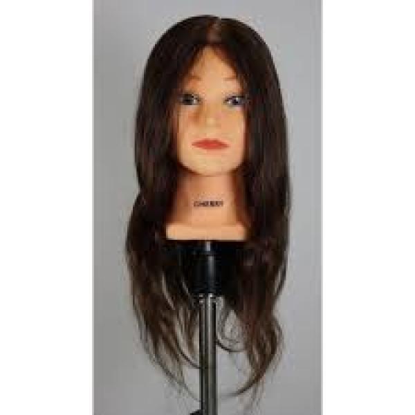 HiLift Mannequin Cherry Extra Long Brown Human Hair Hi Lift