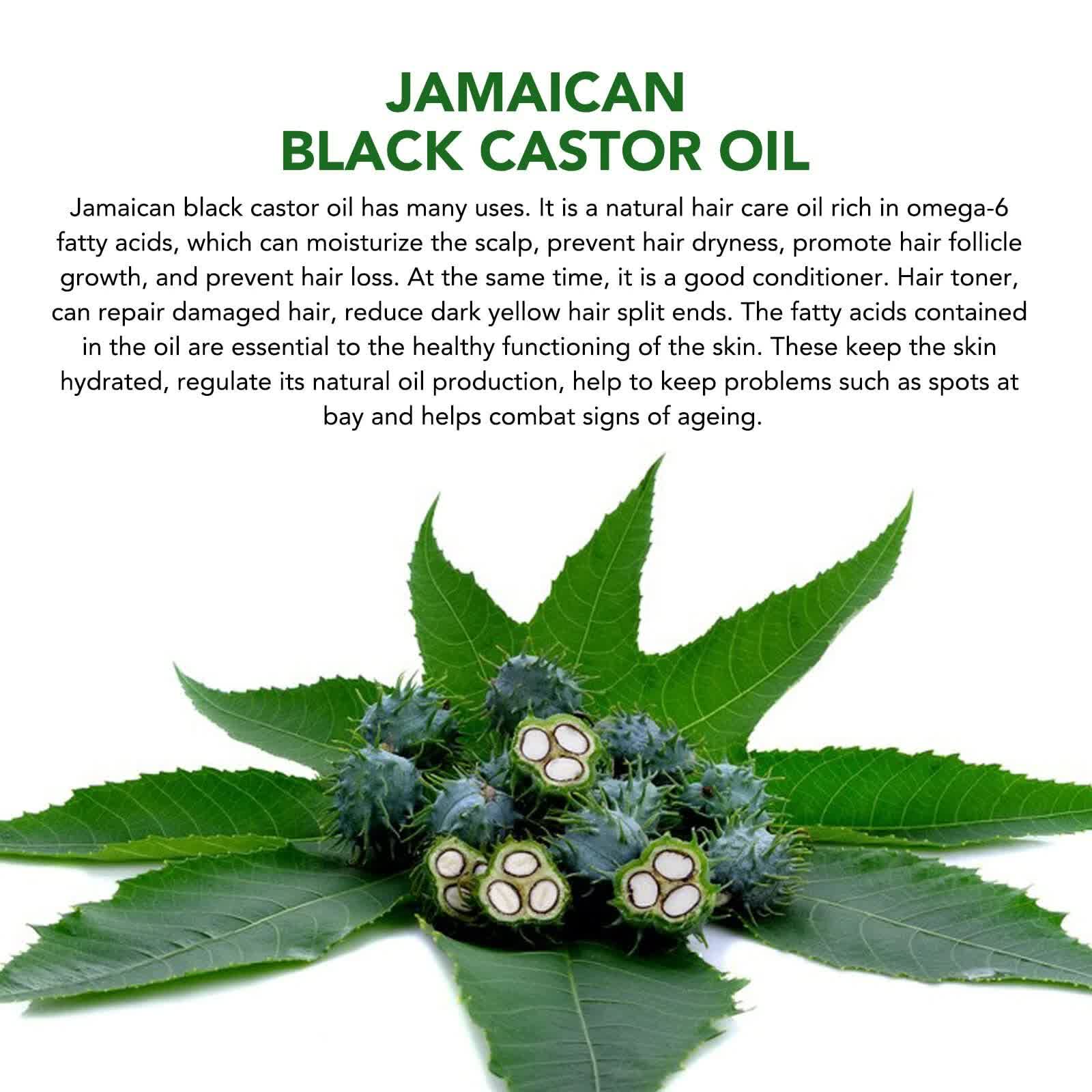 Black Castor Oil (2.02 fl oz), Jamaican Organic Regrowth Treatments Finishing Touch Body Hair And Beauty Supplies